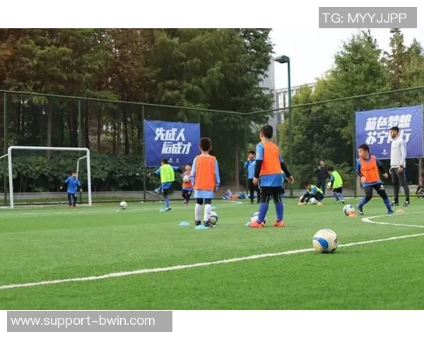 海德堡足球俱乐部:追寻绿茵场上的荣耀与梦想之旅