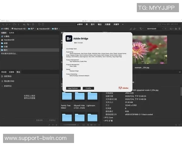 足球破解下载地址分享轻松获取最新版本与安装指南