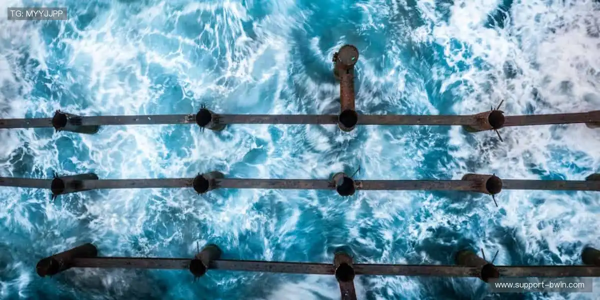 ⚽️ 热血赛事,即刻开战!🏆